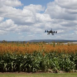 Precision Drone Services - Agriculture 3